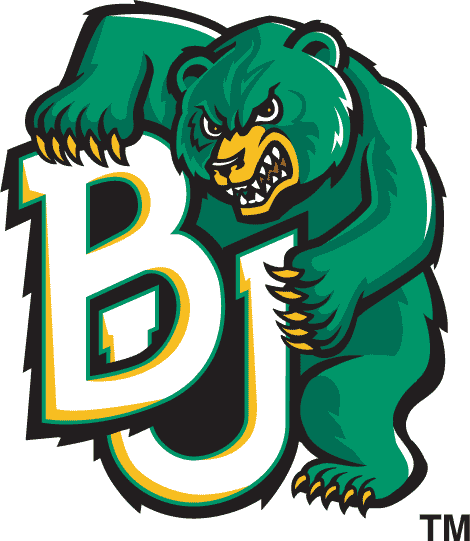 Baylor Bears 1997-2004 Alternate Logo iron on transfers for T-shirts